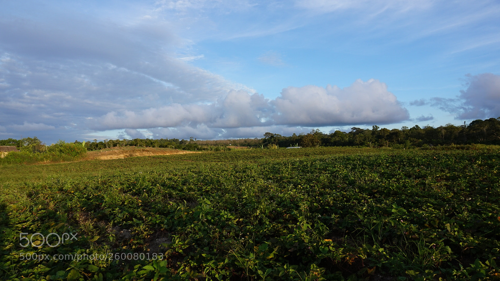 Sony Alpha a5000 (ILCE 5000) sample photo. Untitled photography
