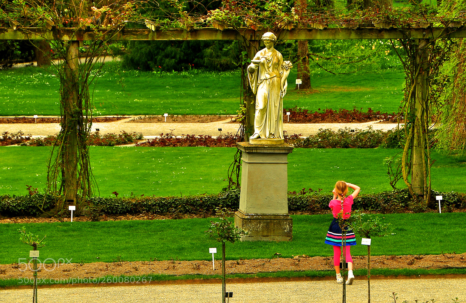 Nikon D5000 sample photo. Mainau-germany photography