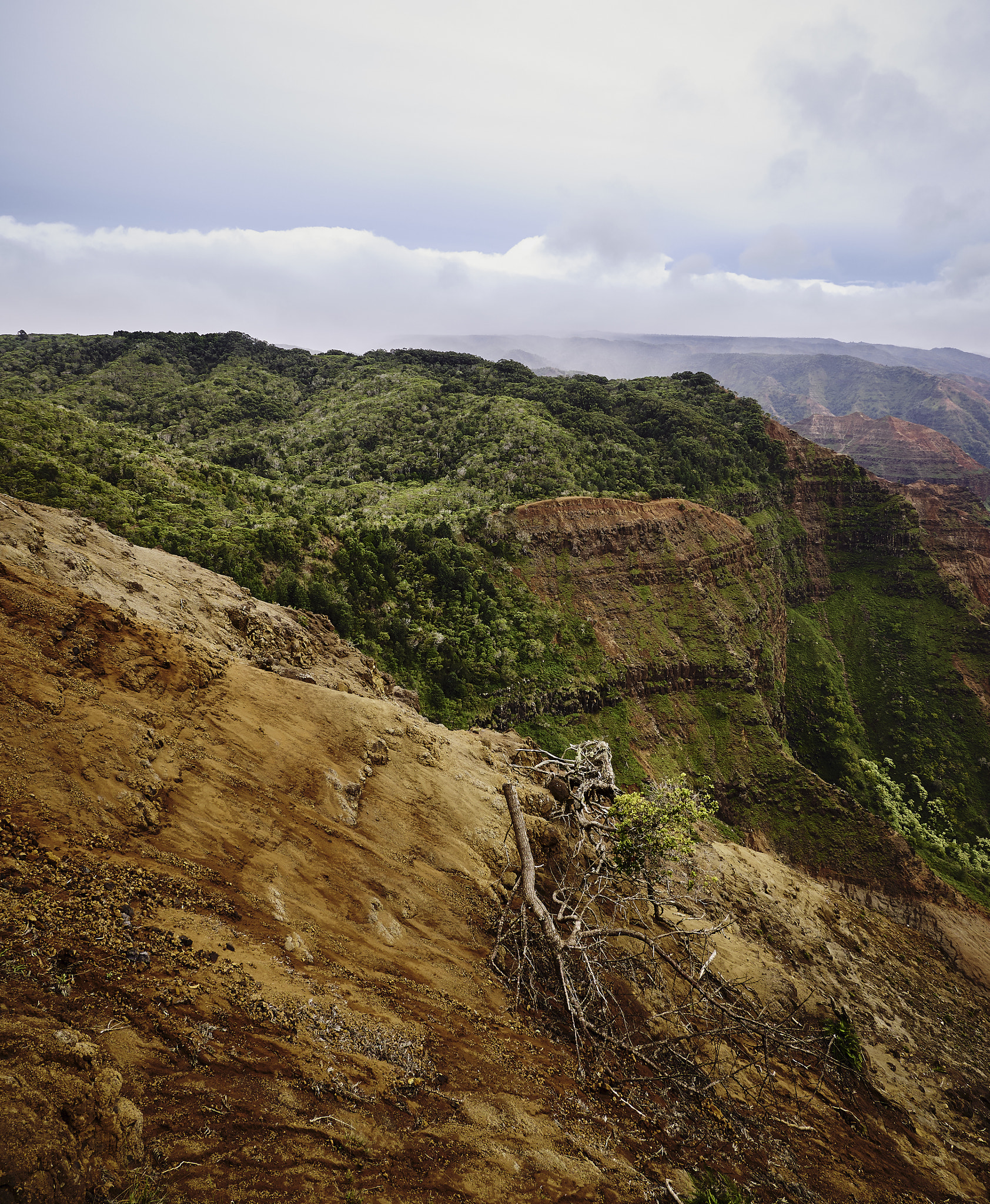 Panasonic Lumix DMC-G85 (Lumix DMC-G80) sample photo. Hawaiian highlands 10 photography