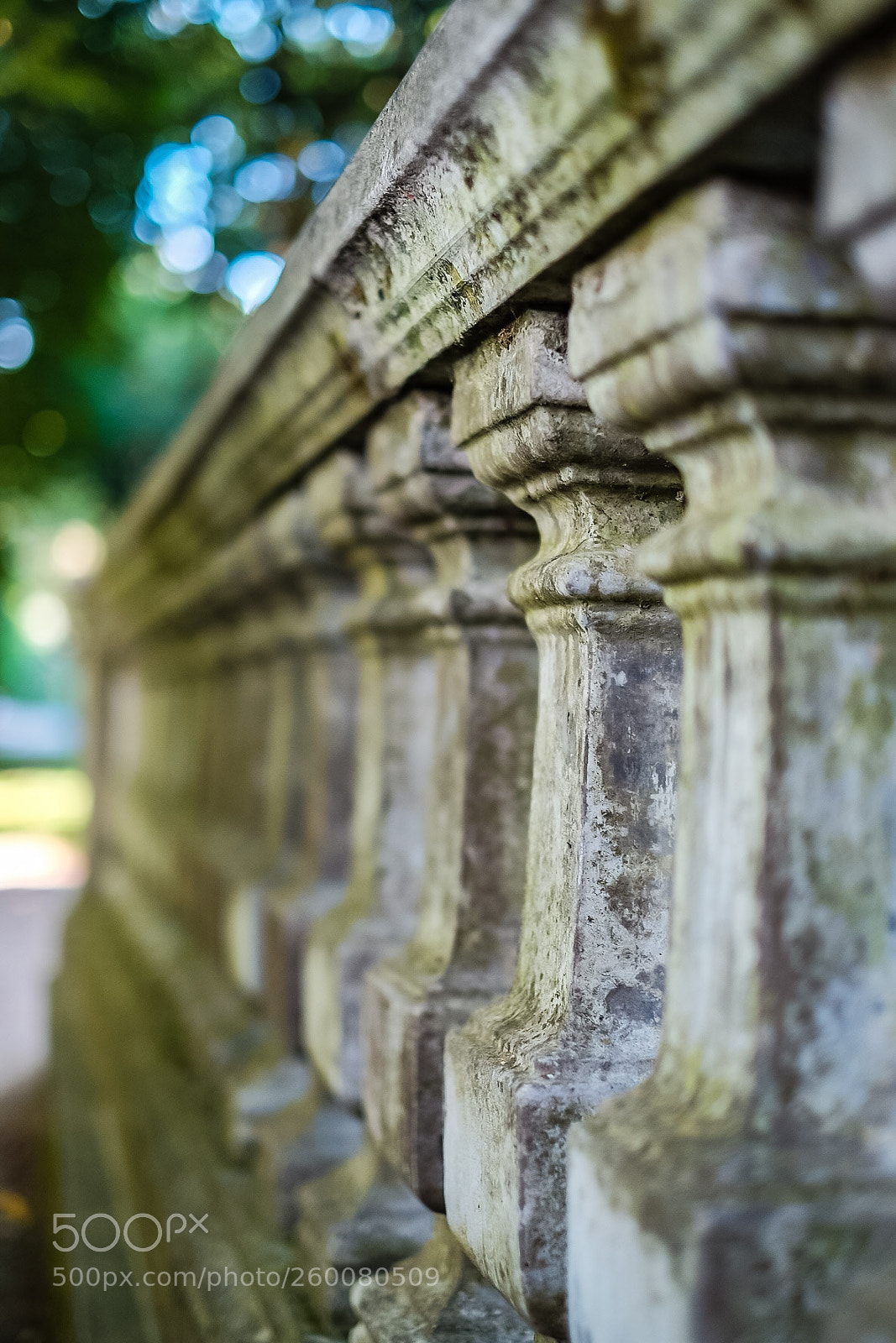 Fujifilm X-T10 sample photo. Untitled photography