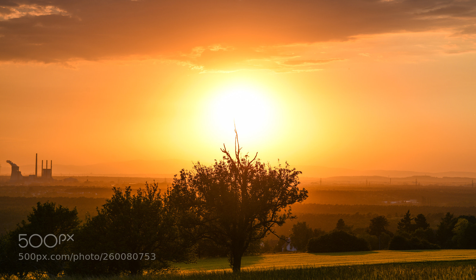 Nikon D850 sample photo. Touch the sun photography