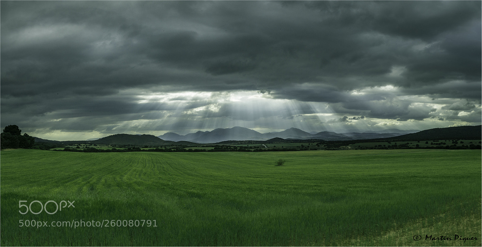 Canon EOS 6D sample photo. Light, clouds and plantings photography