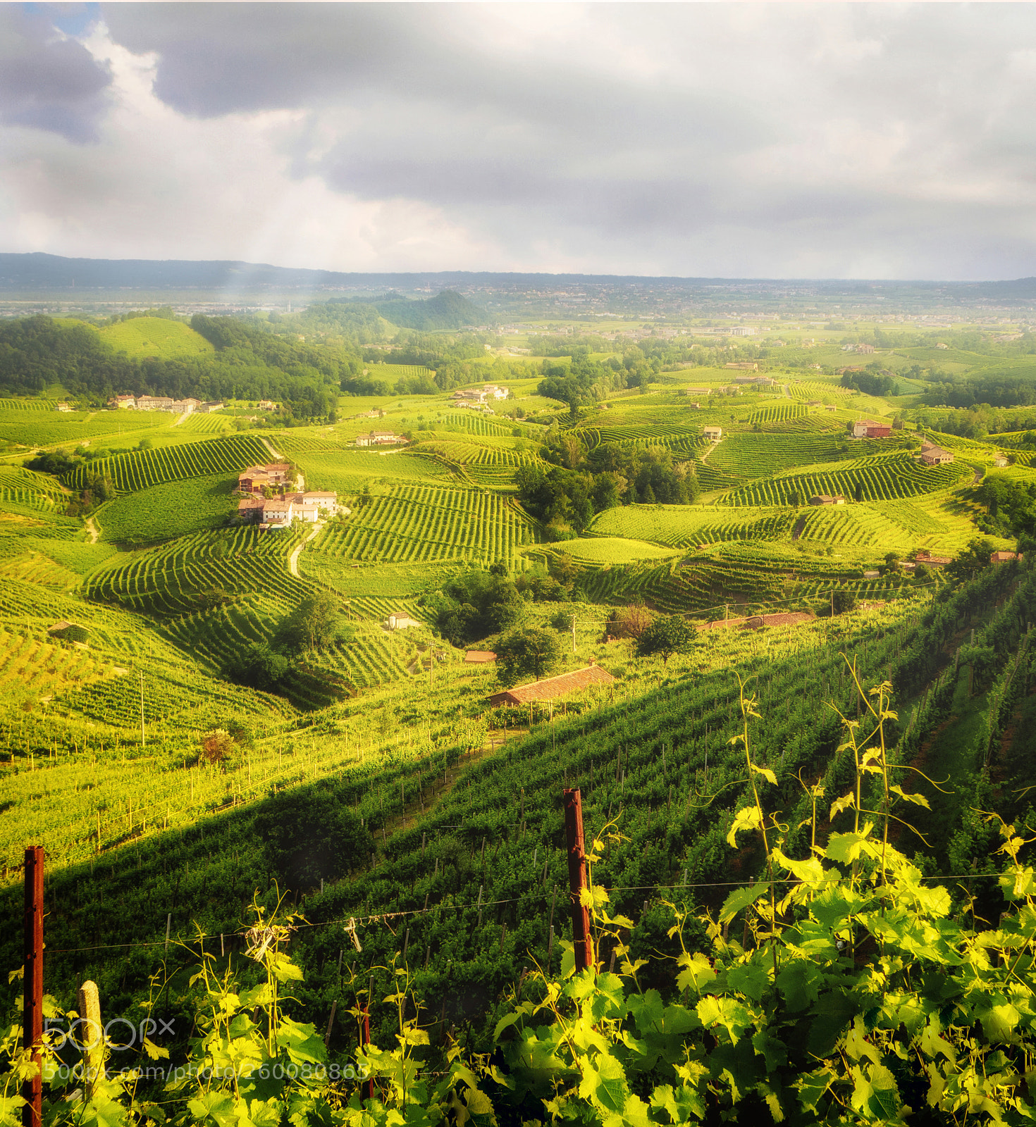 Olympus OM-D E-M10 II sample photo. Strada del prosecco i photography