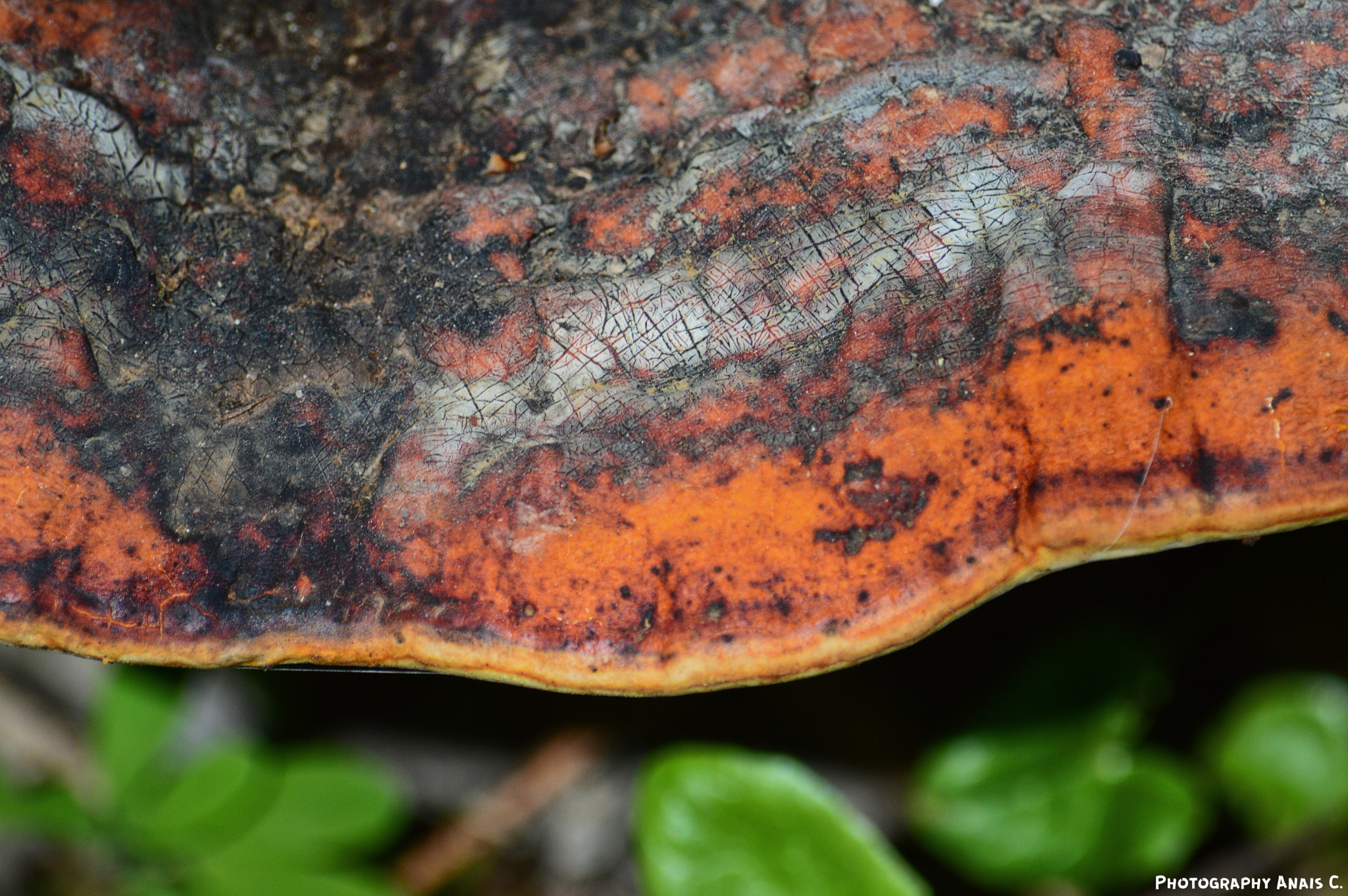 Nikon D3200 sample photo. Like a piece of art photography