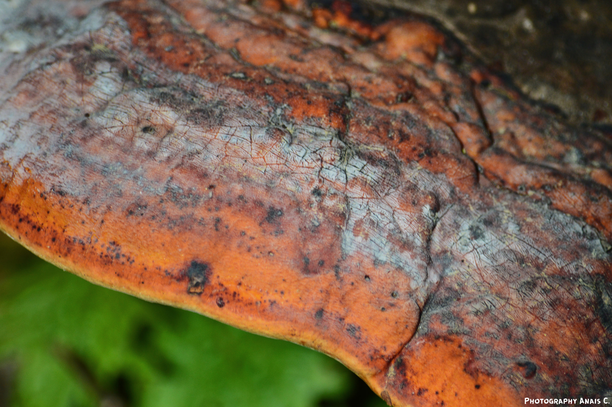 Nikon D3200 sample photo. Like a piece of art photography