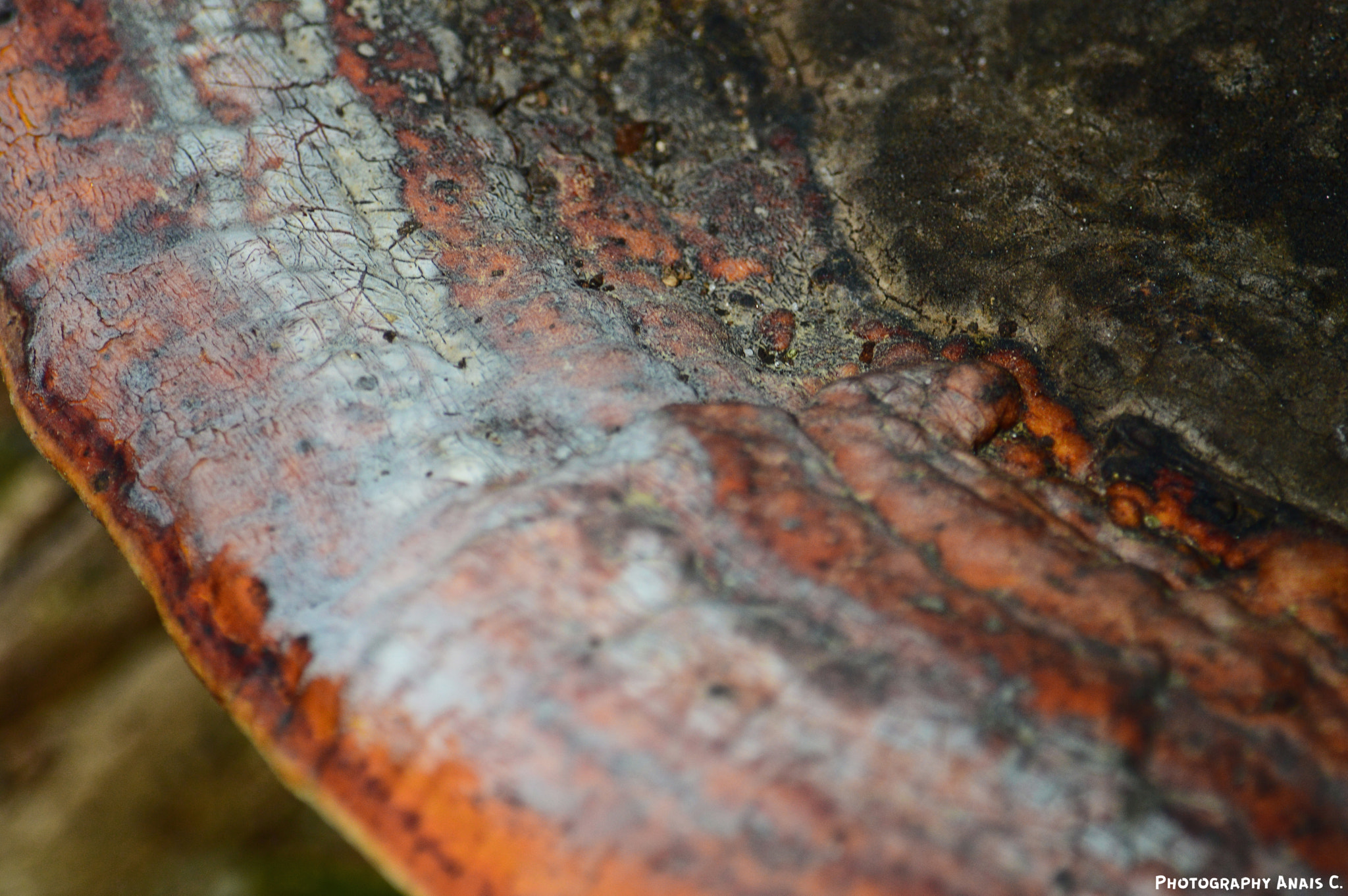 Nikon D3200 sample photo. Like a piece of art photography