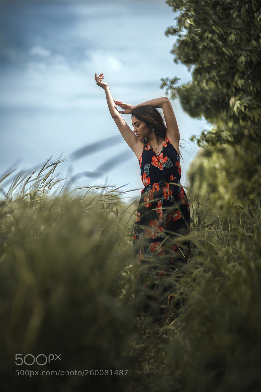 Canon EOS 5D Mark IV sample photo. Untitled photography