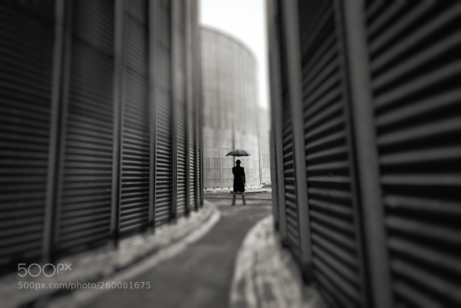 Nikon D610 sample photo. Lines... photography