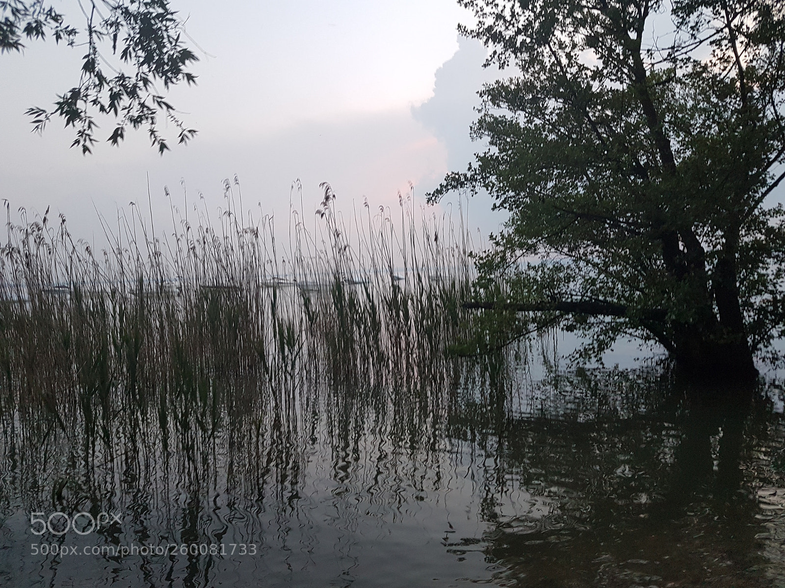 Samsung Galaxy S7 sample photo. Lago di garda at photography