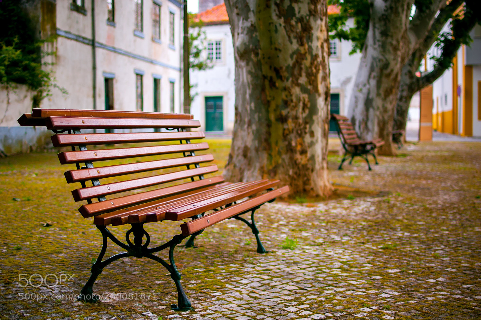 Nikon D40 sample photo. Barquinha - bench_2 photography