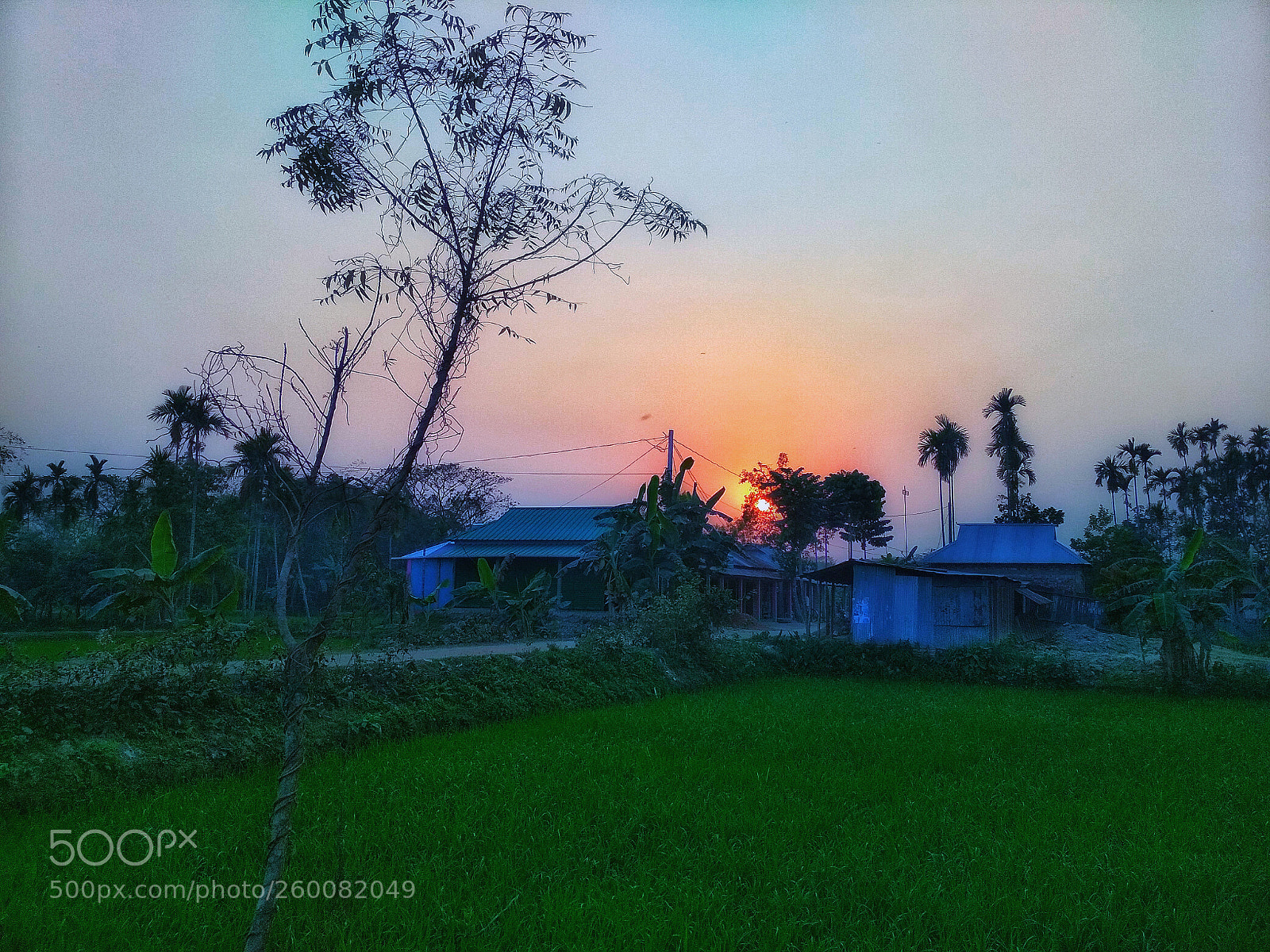 Xiaomi Redmi 4X sample photo. Img_20180309_173934-01.jpeg photography