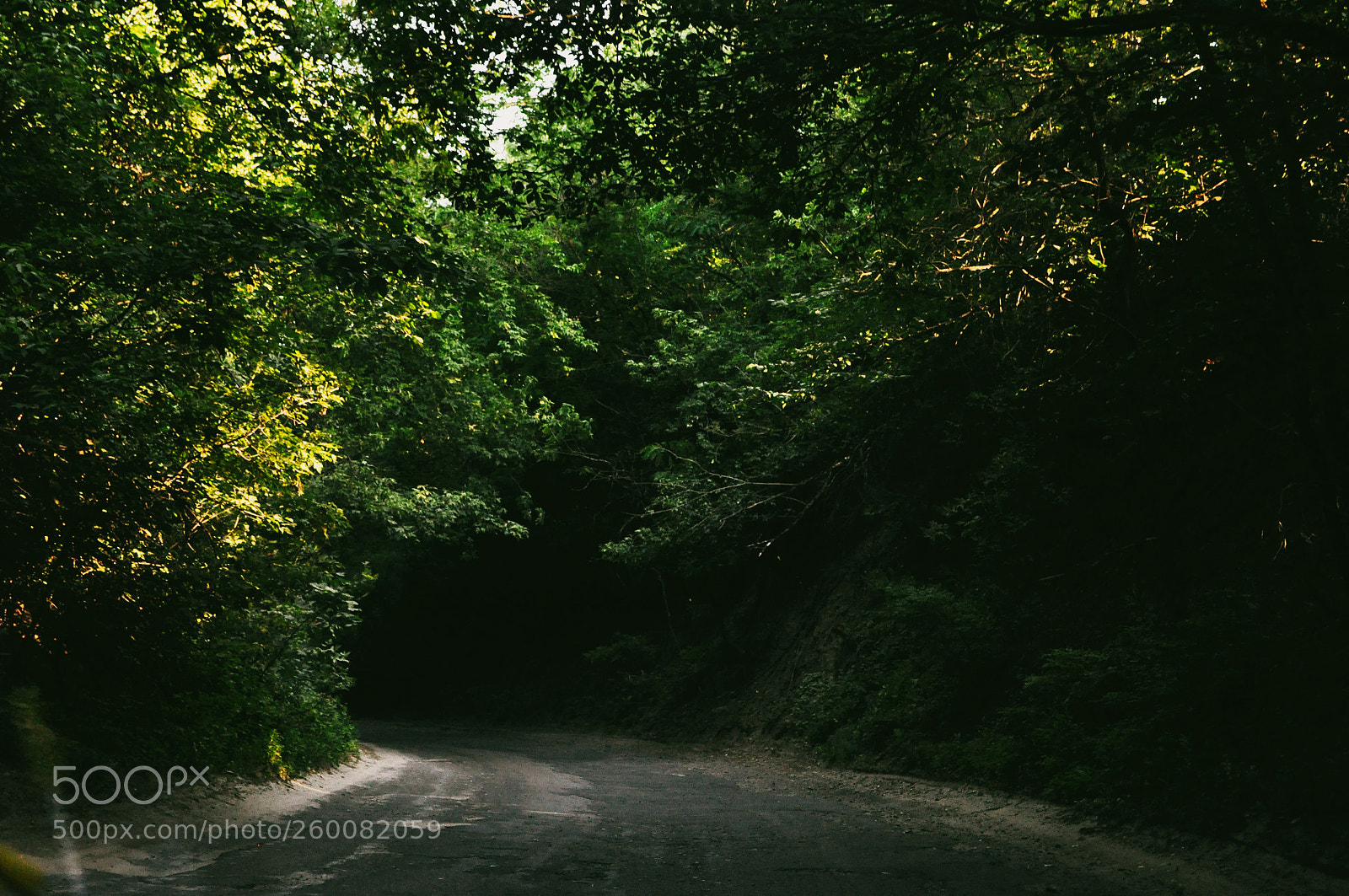 Nikon D90 sample photo. Road photography