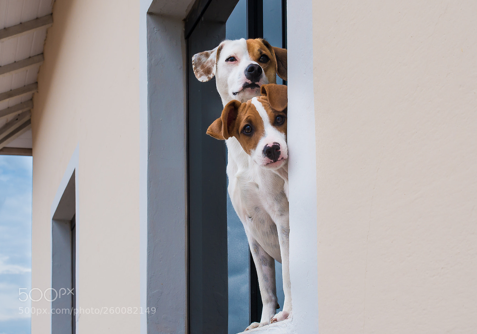 Nikon D610 sample photo. Bolt e mailon photography