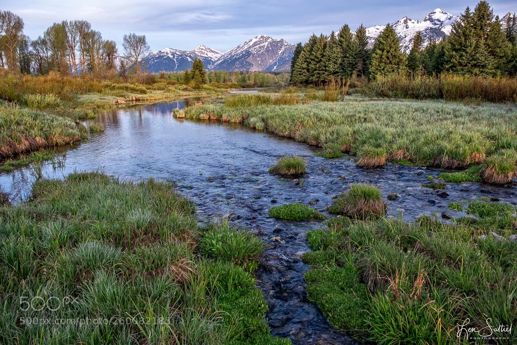 Fujifilm X-T2 sample photo. Blacktail beauty photography