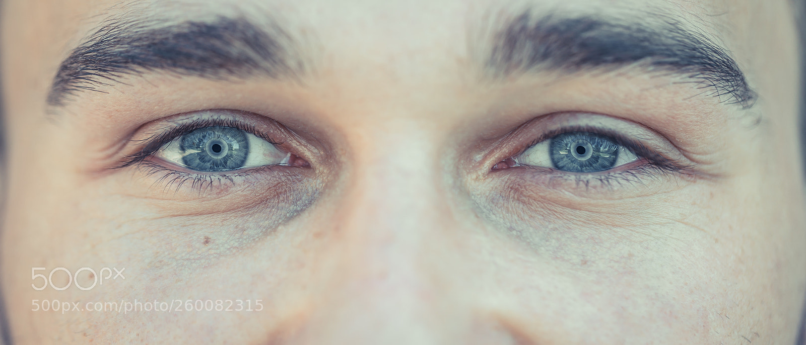 Canon EOS 6D sample photo. Eye photography