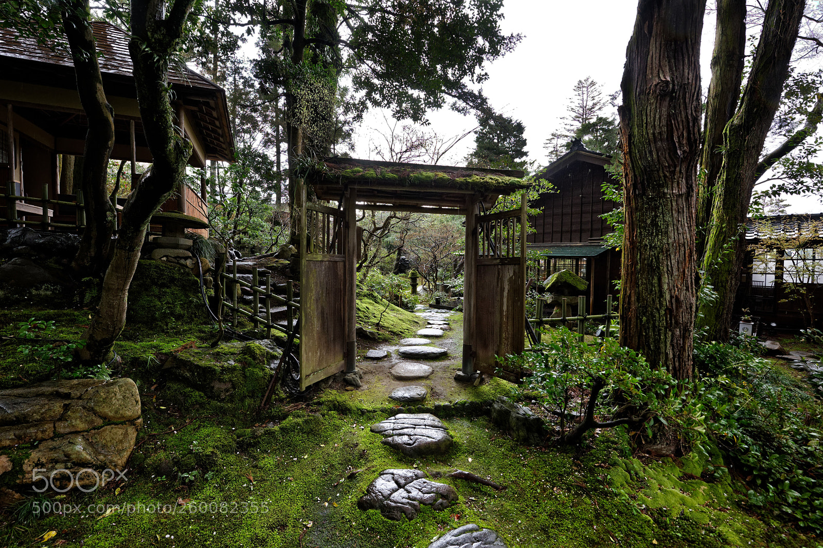 Nikon D810 sample photo. Stepping stones photography