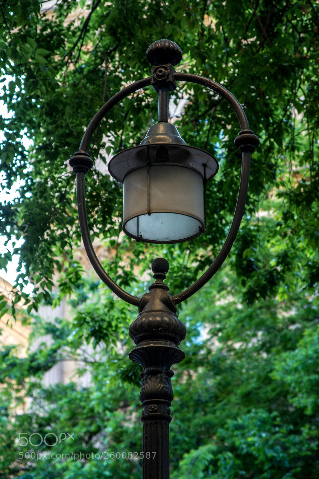 Nikon D7200 sample photo. Green lantern photography