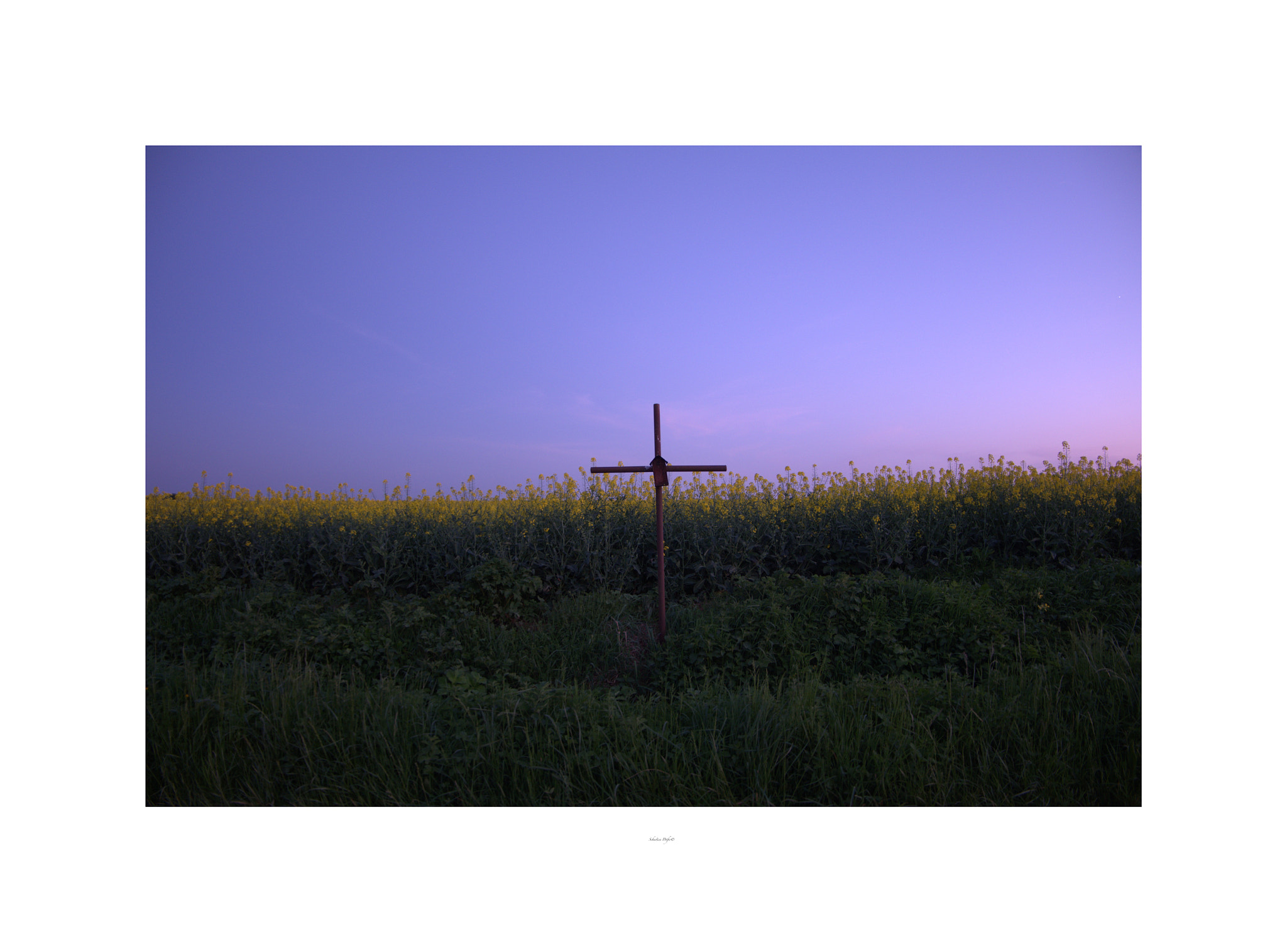 Fujifilm X-M1 sample photo. Purple dusk  photography
