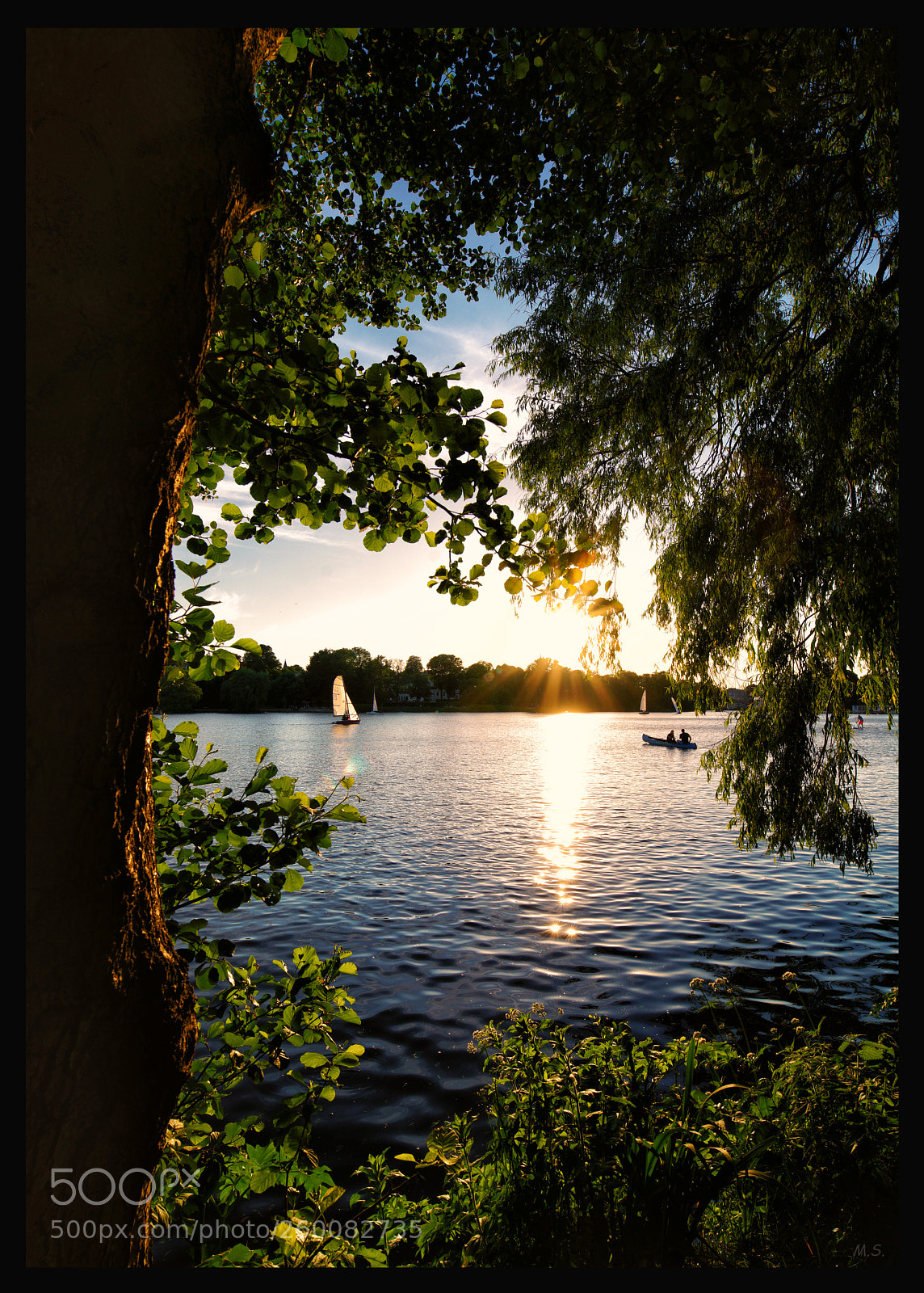 Sony a7R II sample photo. Untitled photography