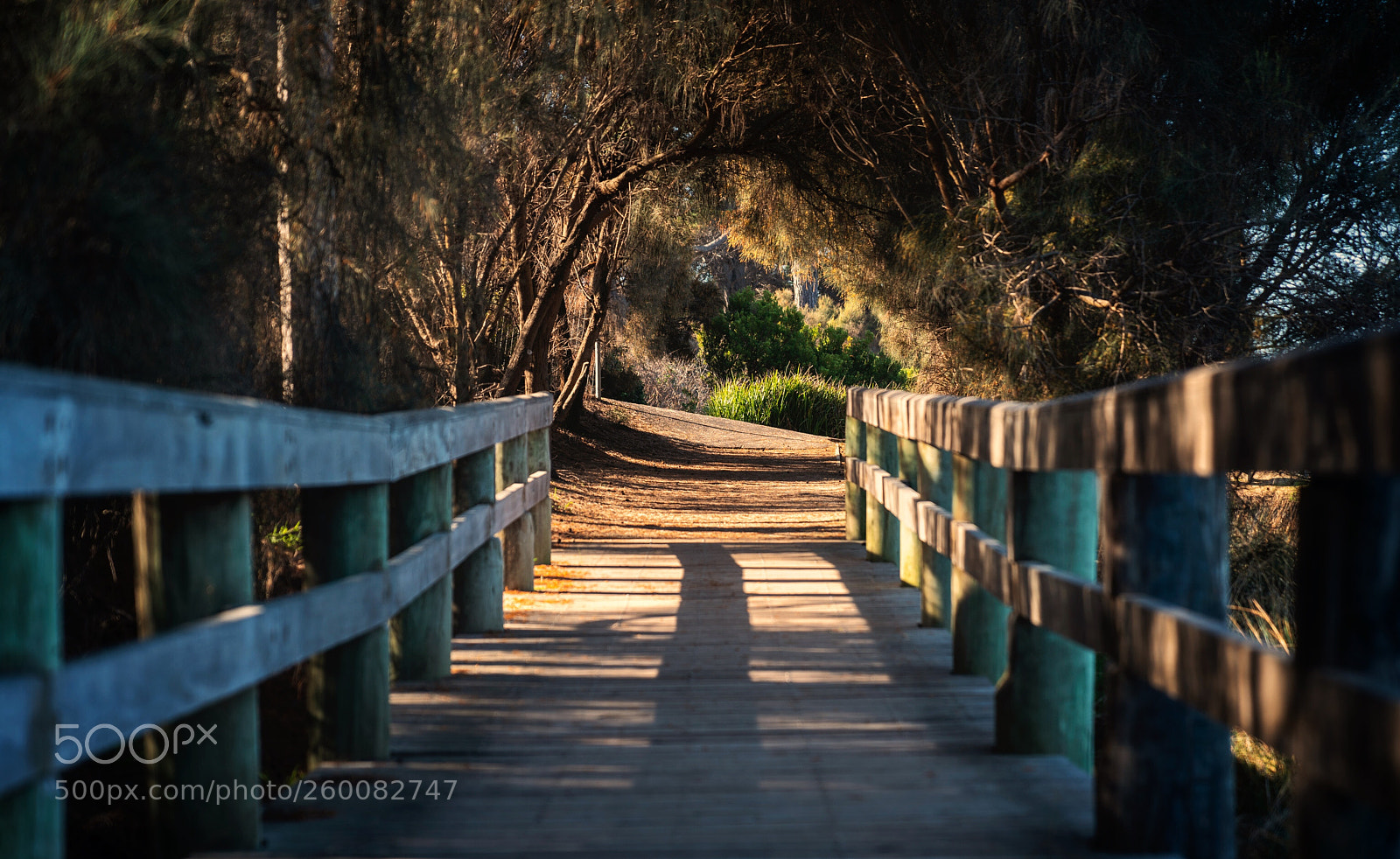 Sony a7R III sample photo. Melbourne great ocean road photography
