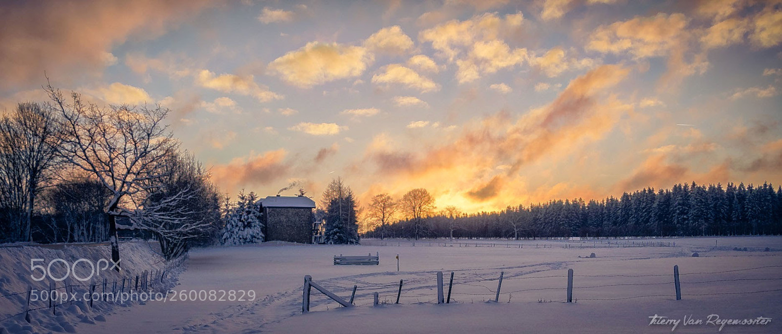 Nikon D7000 sample photo. Saint-hubert photography