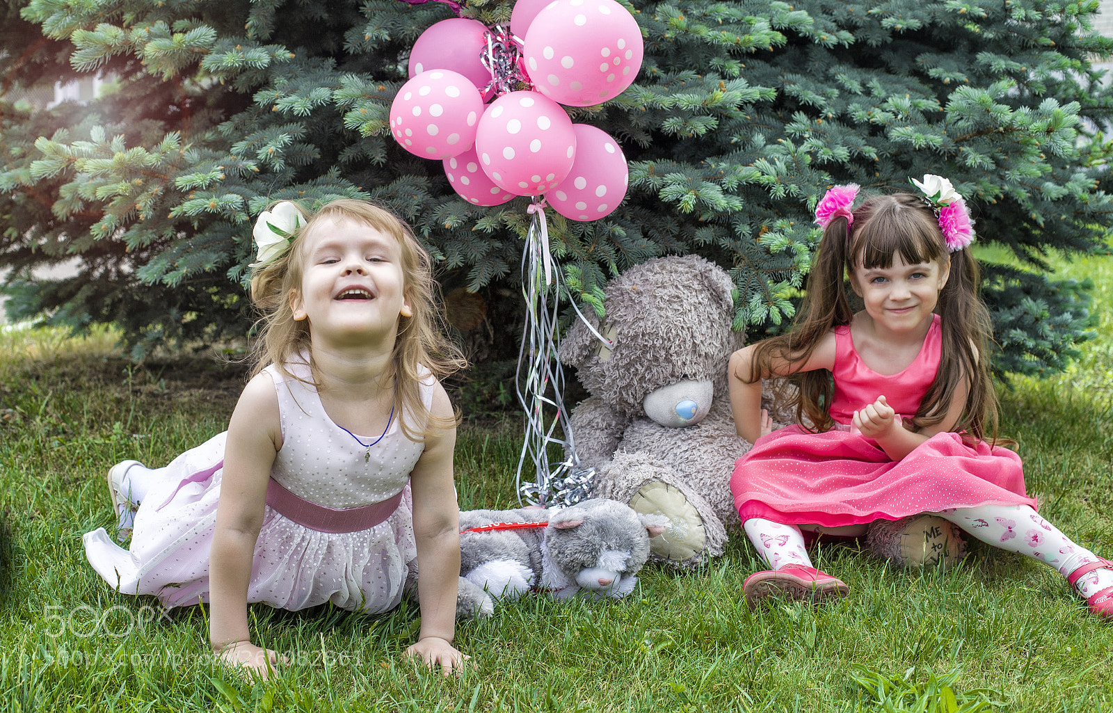 Canon EOS 5D Mark II sample photo. Img photography