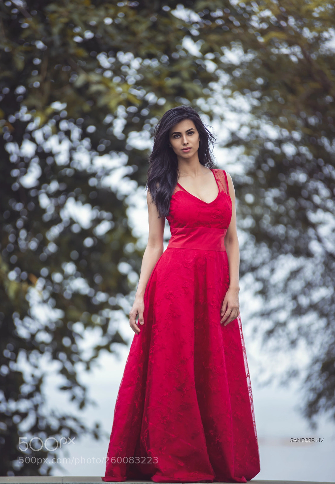 Canon EOS-1D X sample photo. Richa photography
