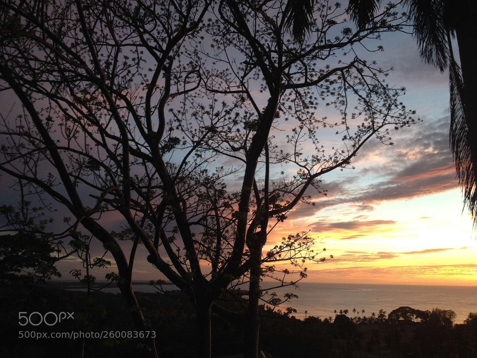 Apple iPhone 4S sample photo. Tobago, west indies photography