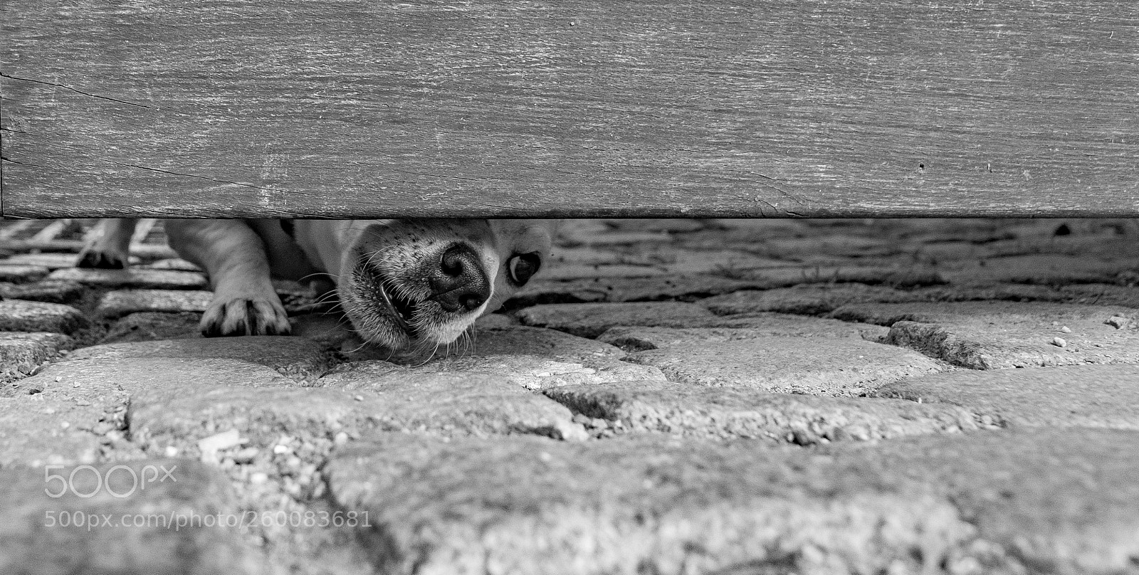 Nikon D5500 sample photo. I can see you photography
