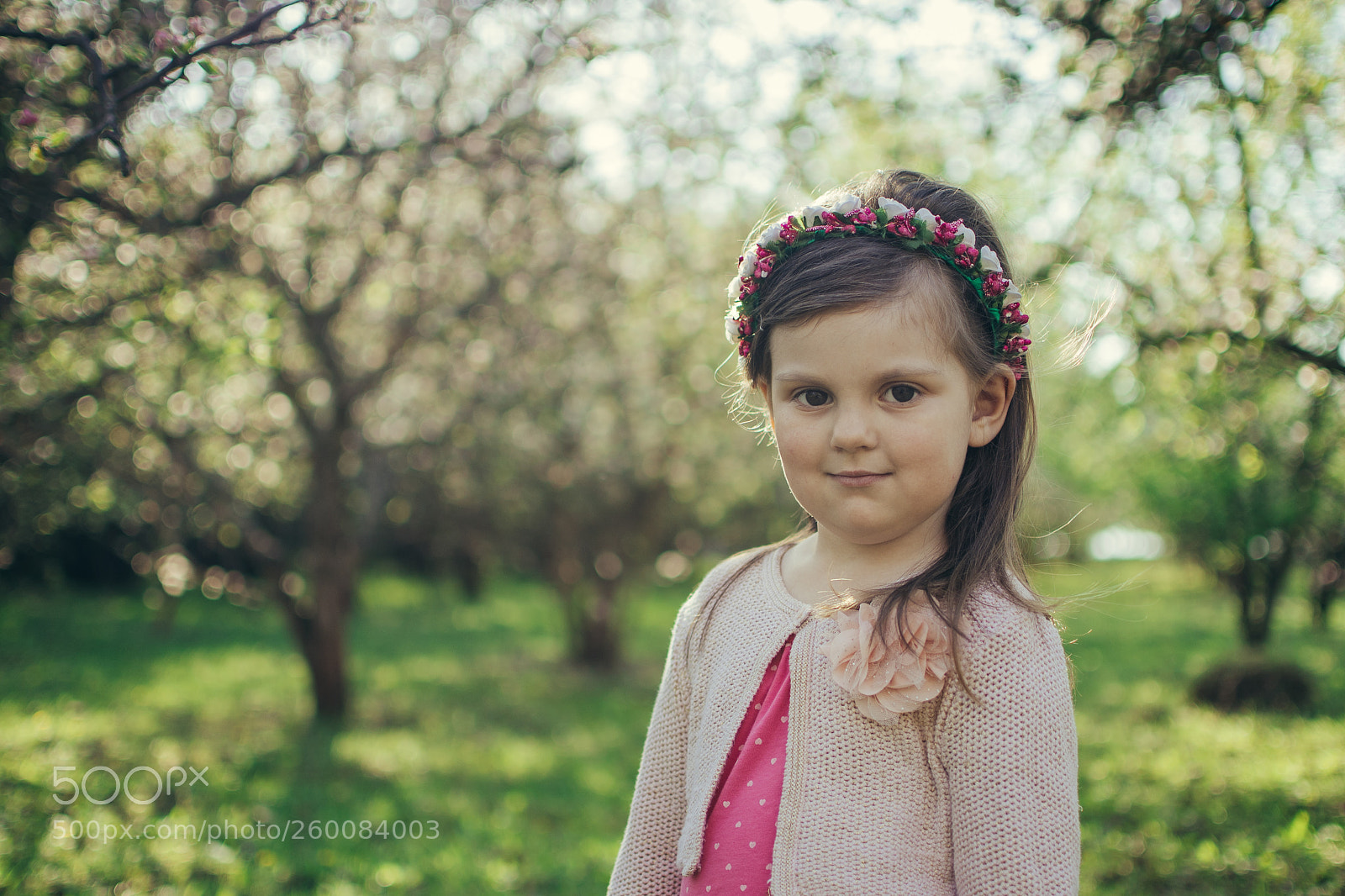 Nikon D610 sample photo. Яблочный сад. photography