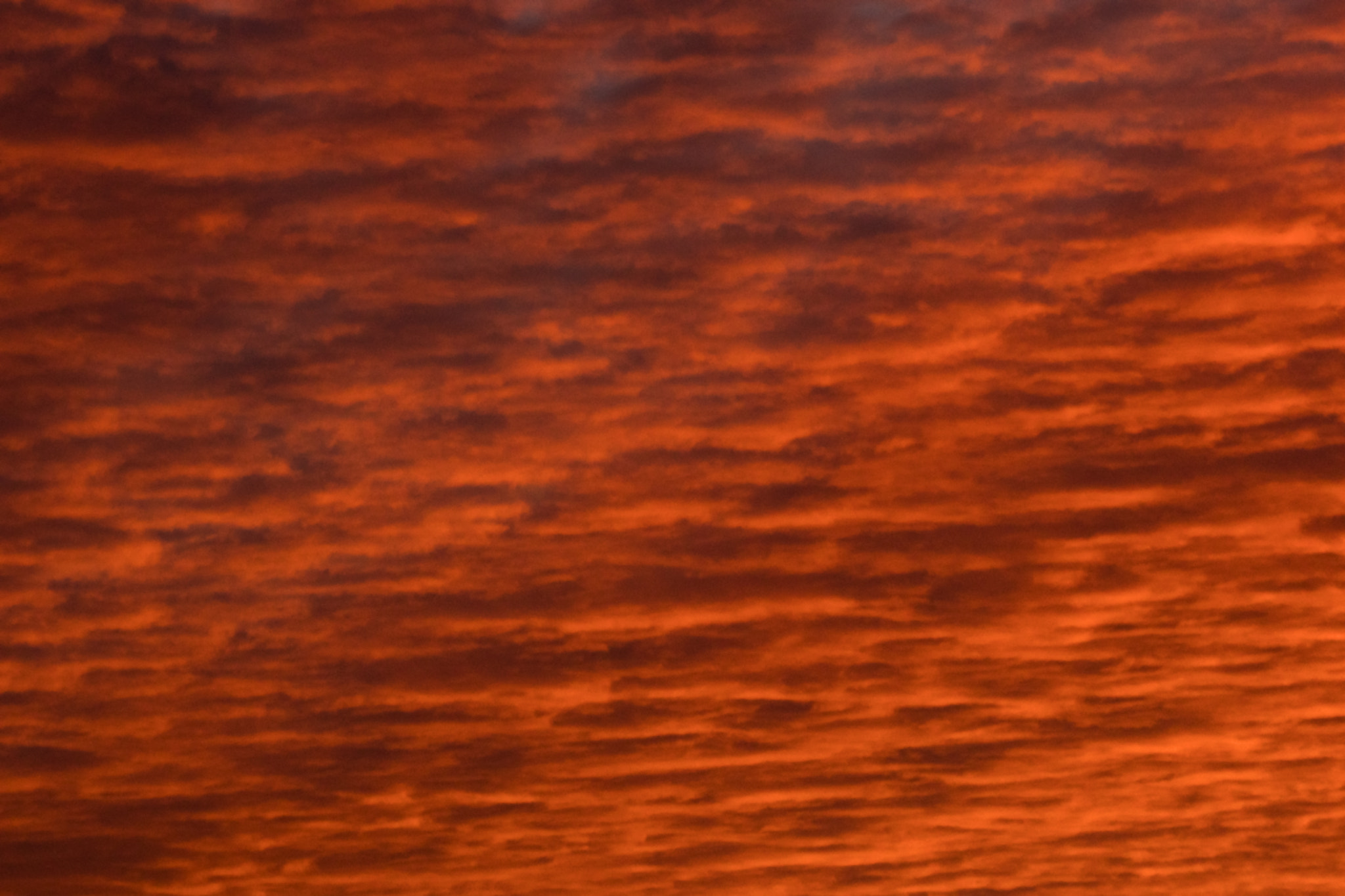 Sony SLT-A68 sample photo. Red sunset photography