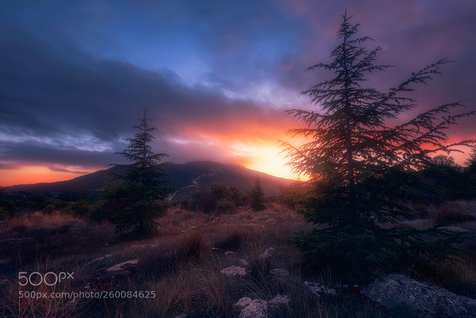 Nikon D800 sample photo. Sunset colors photography
