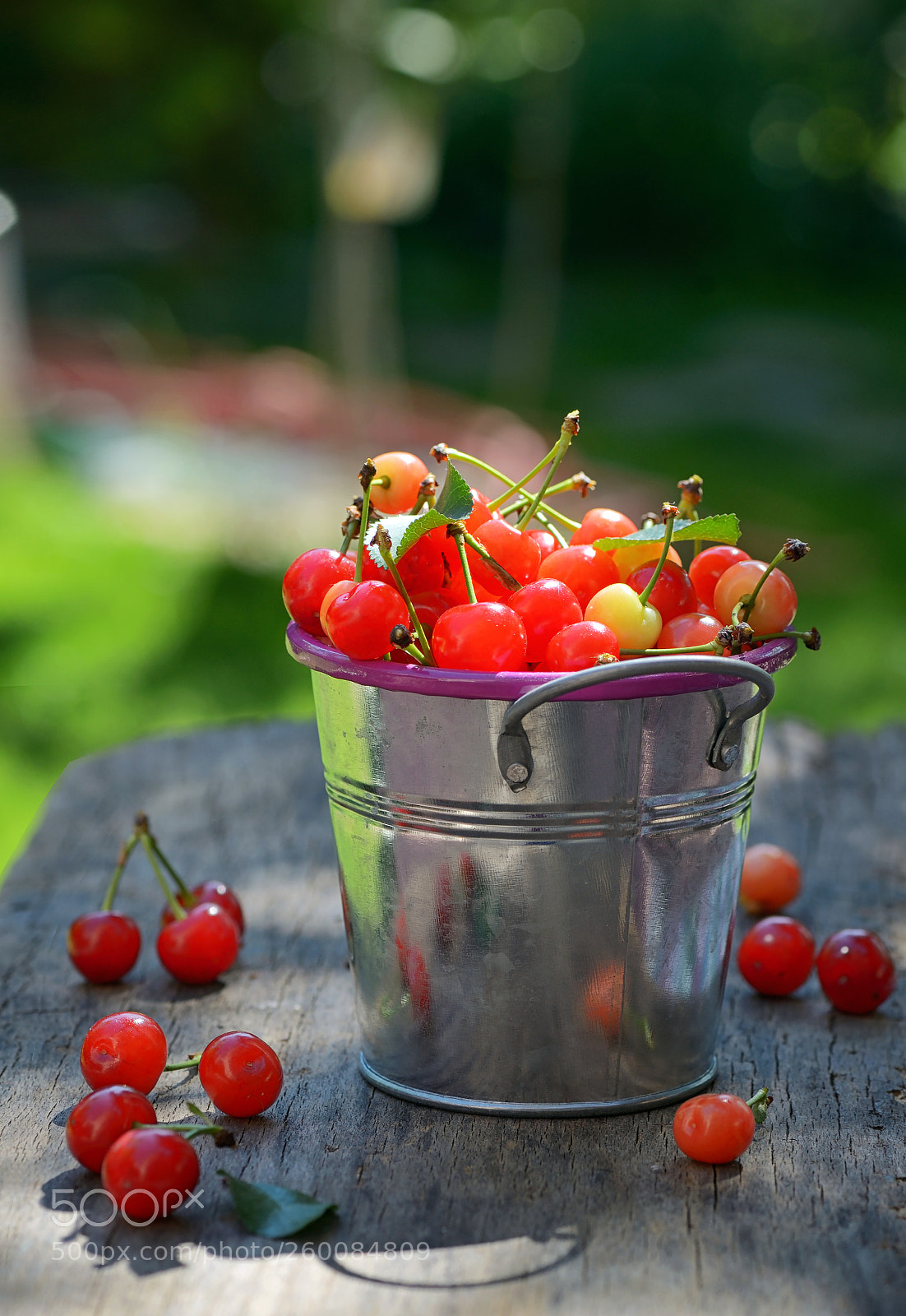 Nikon D610 sample photo. Ripe sweet cherry in photography