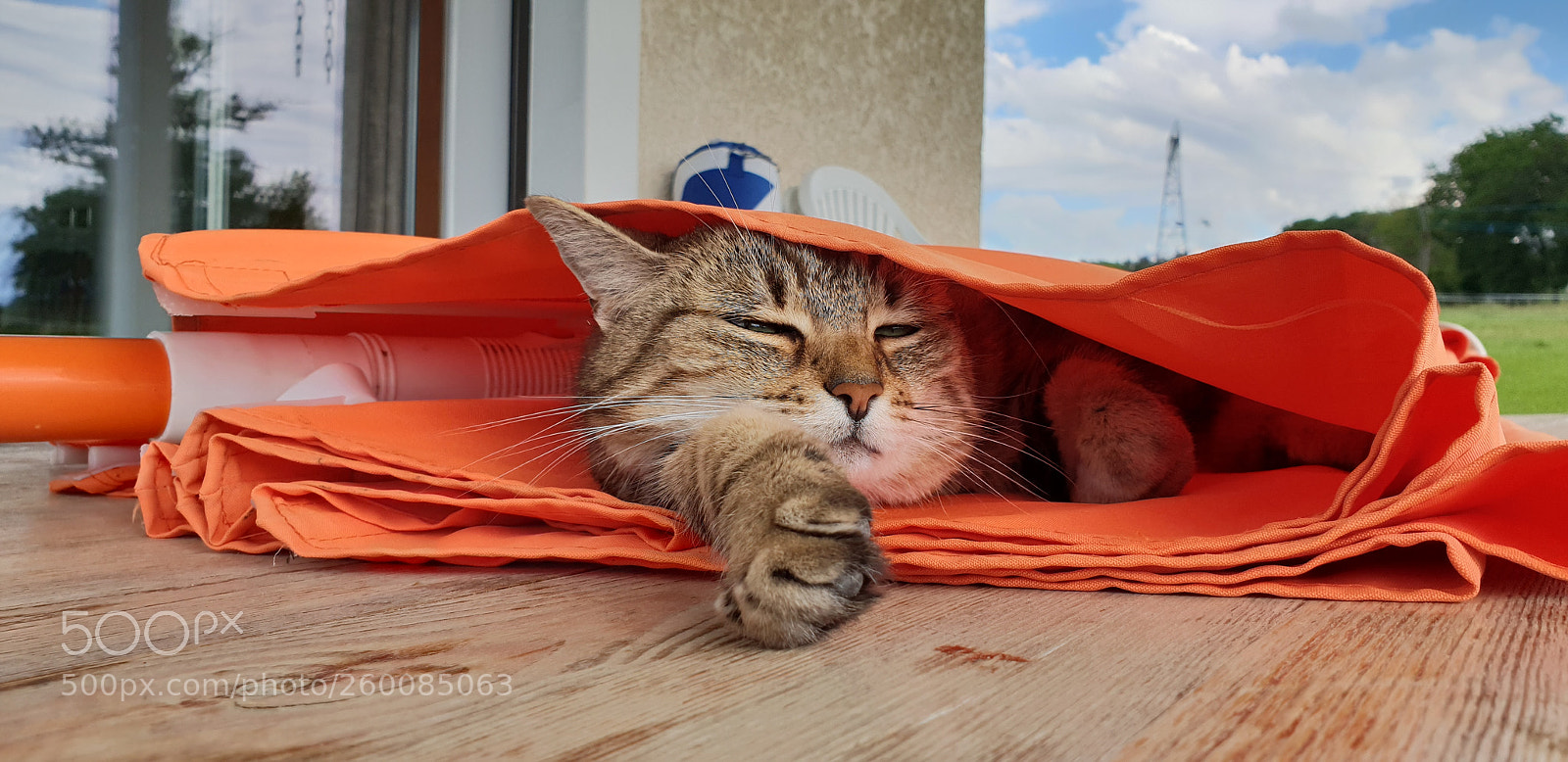 Samsung Galaxy S9+ sample photo. Sombrilla photography