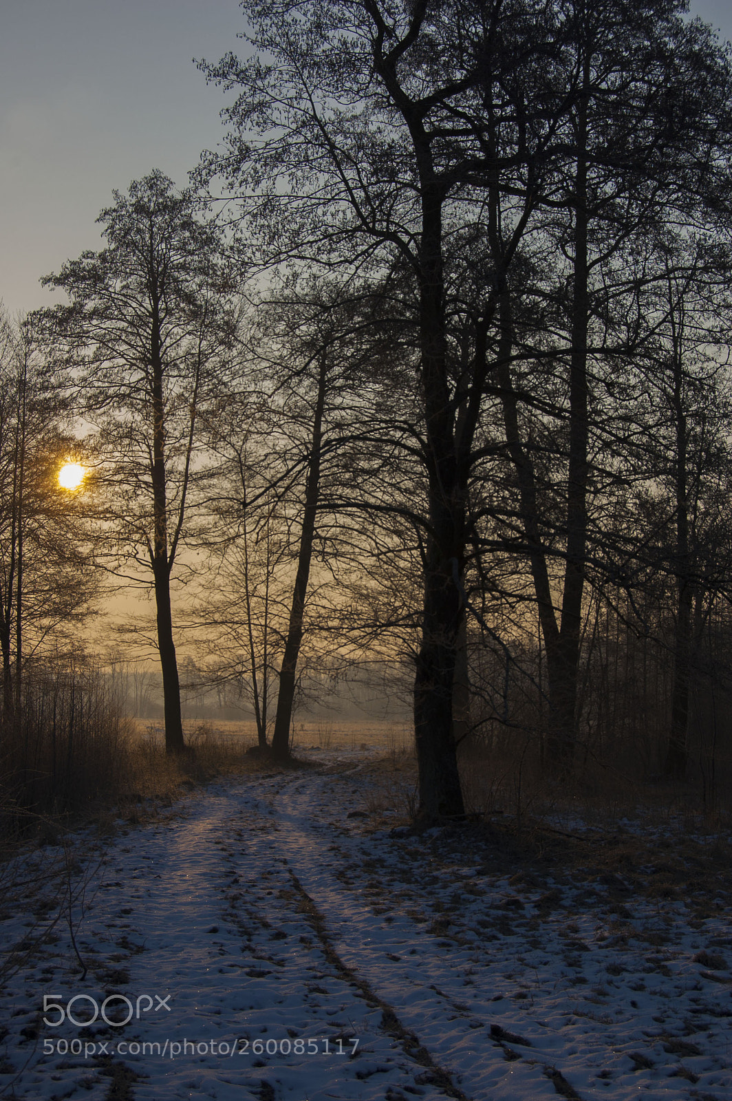 Nikon D40 sample photo. Countryside photography