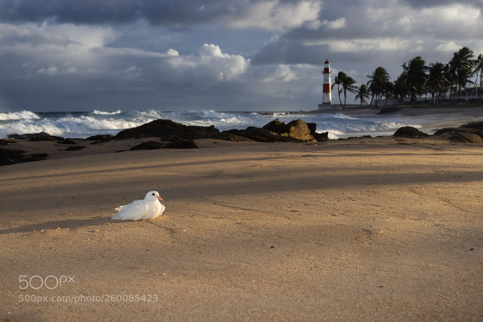 Canon EOS 6D Mark II sample photo. Sand and peace photography