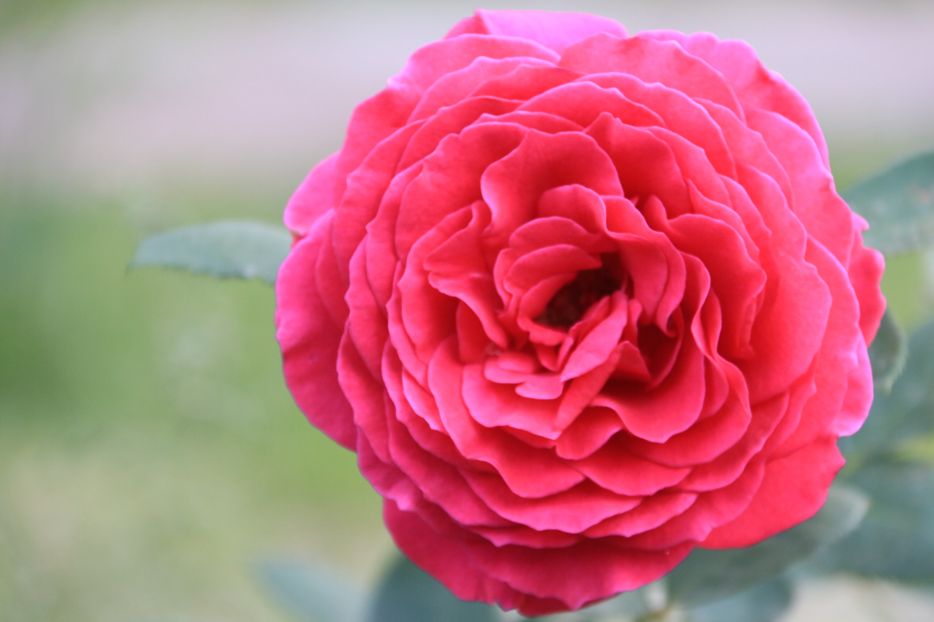 Canon EF-S 18-200mm F3.5-5.6 IS sample photo
