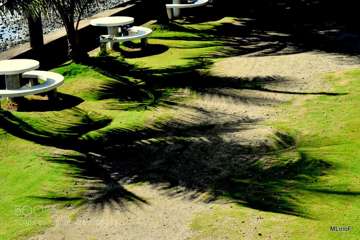 Nikon D5500 sample photo. Shadow photography