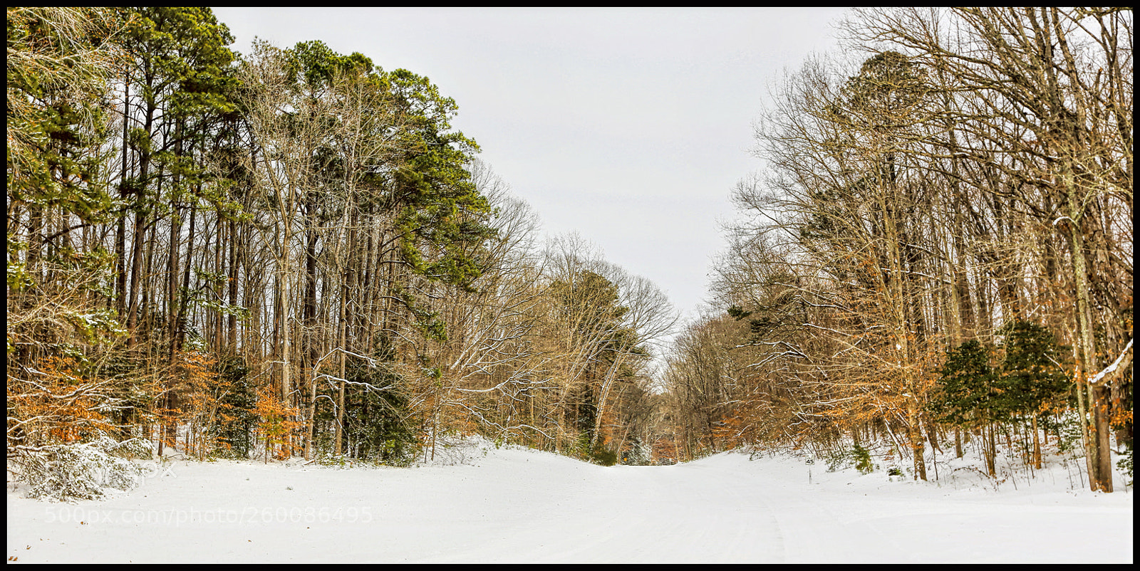 Canon EOS 6D sample photo. The ride home photography
