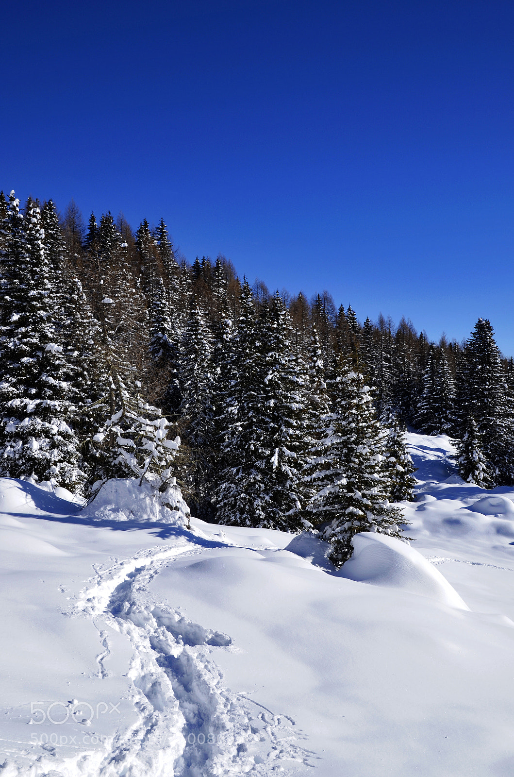 Nikon D7000 sample photo. Snowy path photography