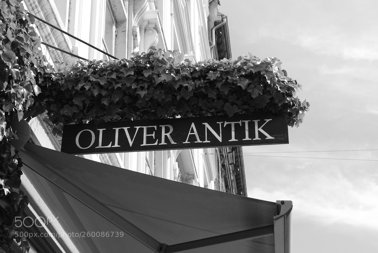 Nikon D60 sample photo. Oliver antik photography