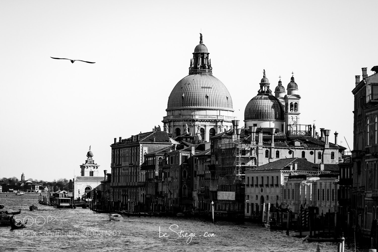 Canon EOS 60D sample photo. Il volo photography