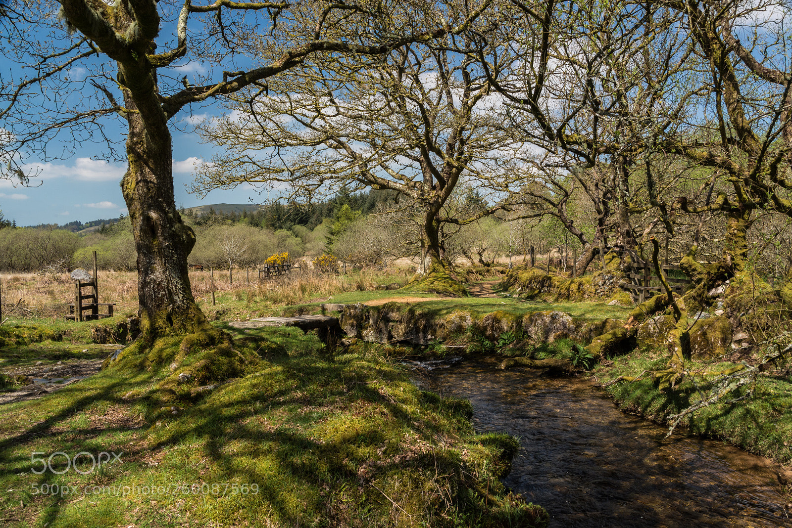 Nikon D610 sample photo. By the narrator brook photography