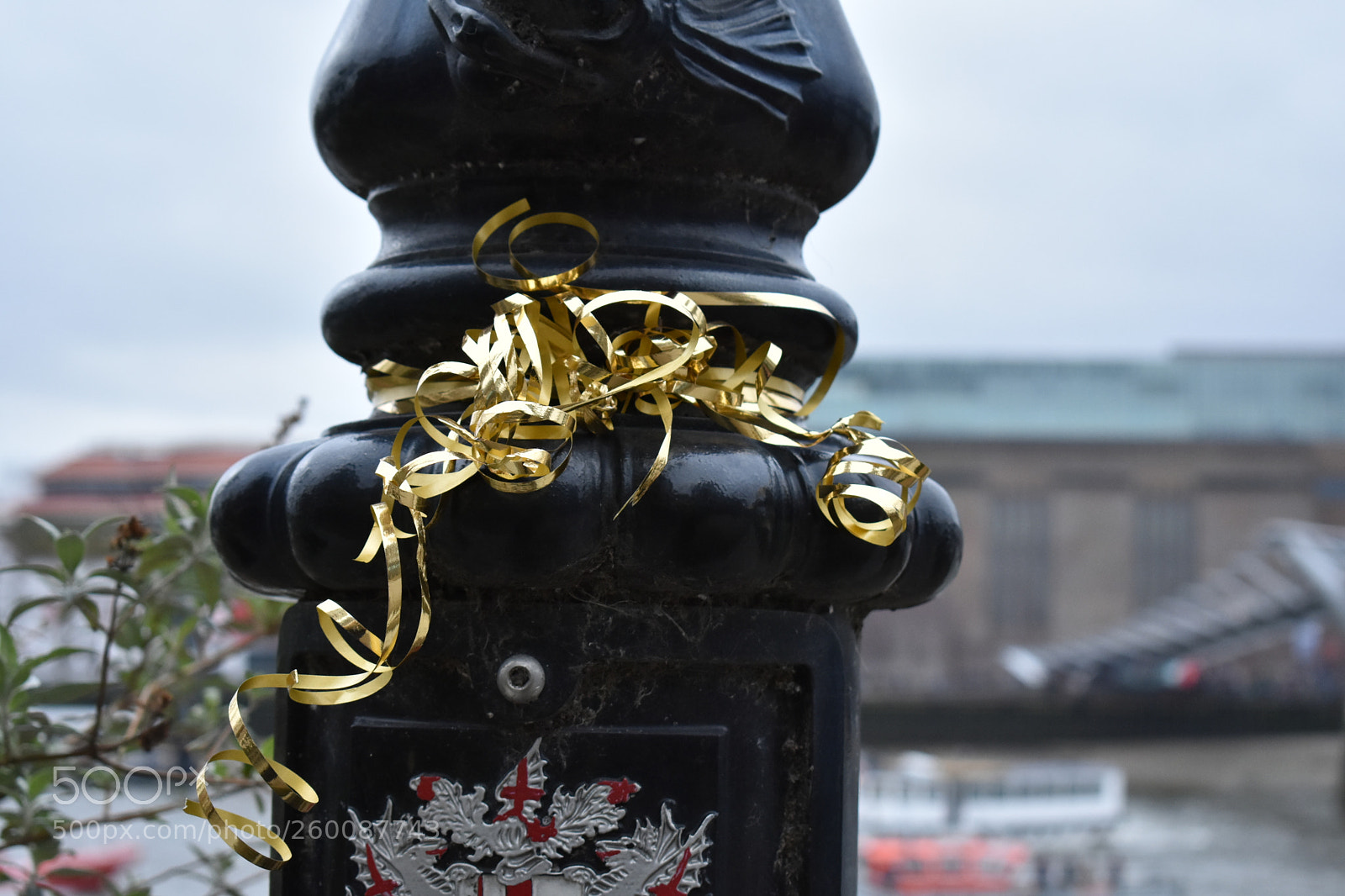Nikon D7200 sample photo. Dsc photography