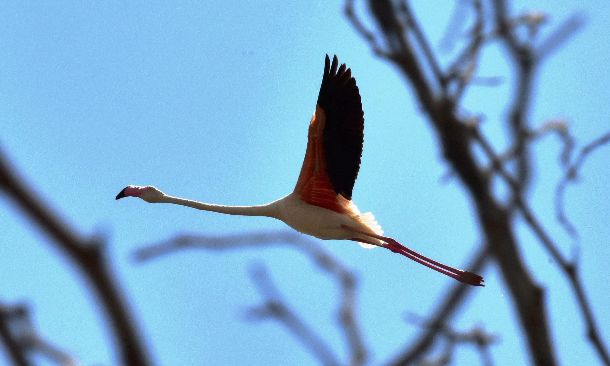 Nikon D810 + Nikon AF-S Nikkor 24-120mm F4G ED VR sample photo. Dsc photography