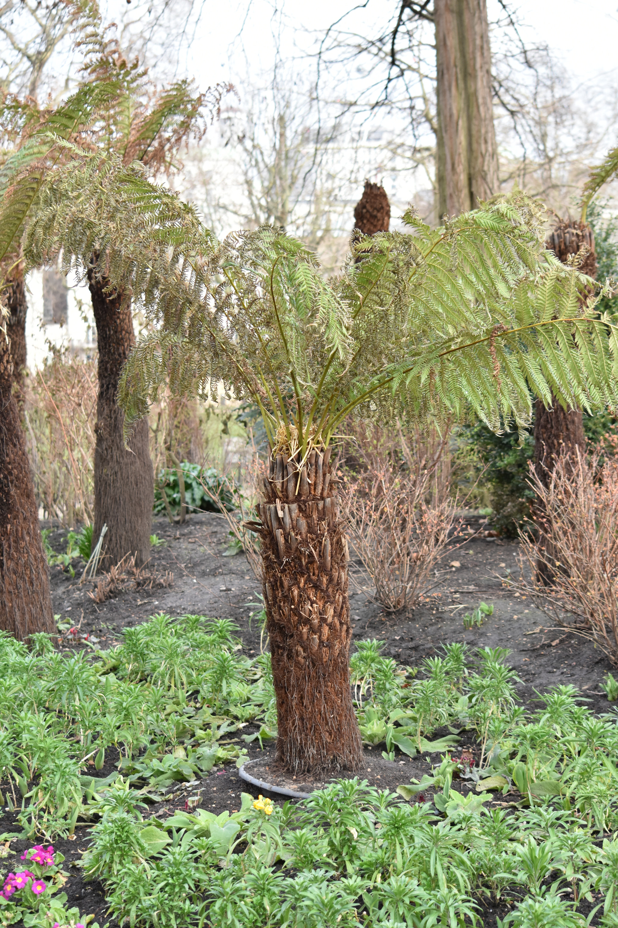 Nikon D7200 sample photo. Dsc photography