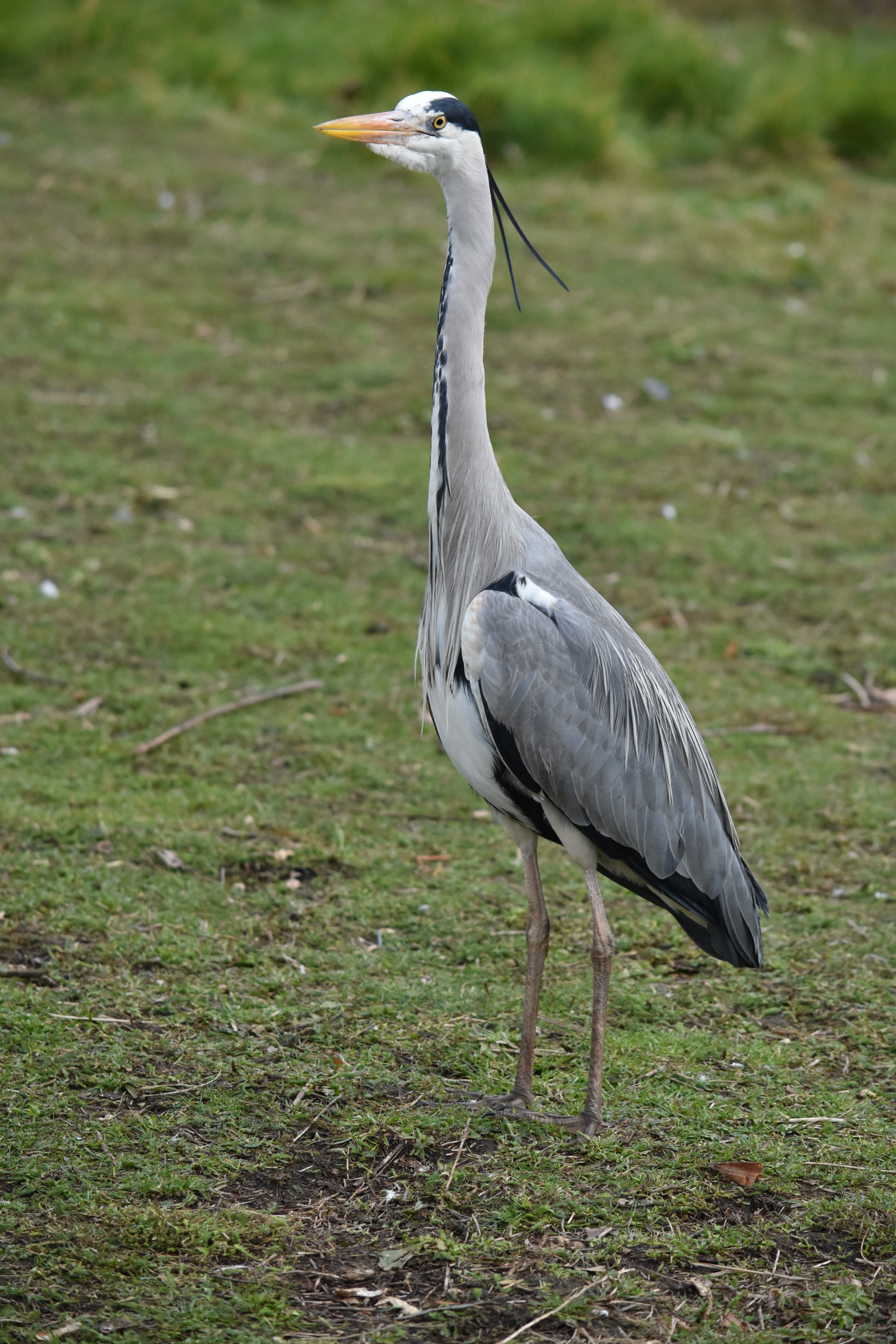 Nikon D7200 sample photo. Dsc photography