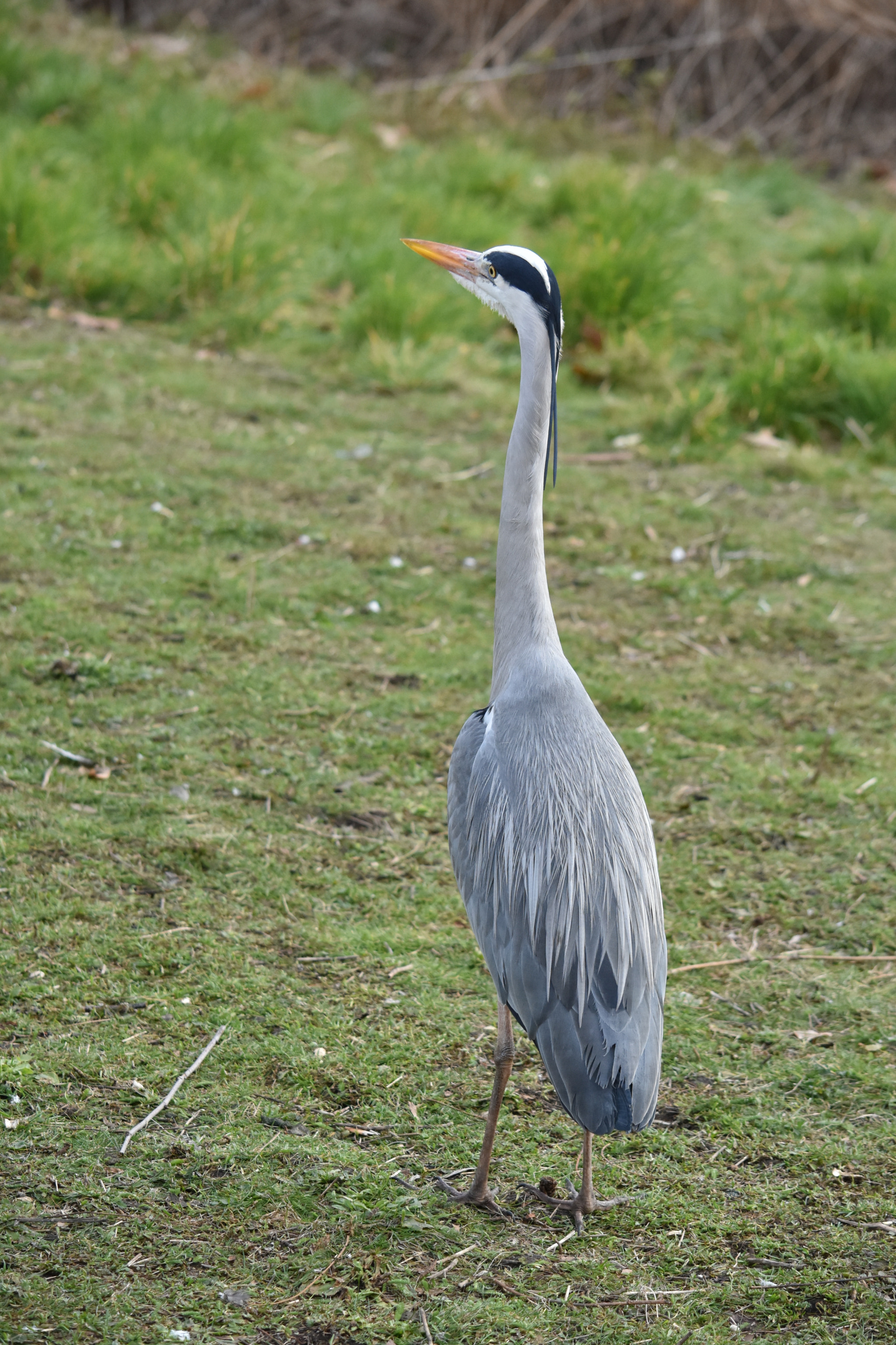 Nikon D7200 sample photo. Dsc photography