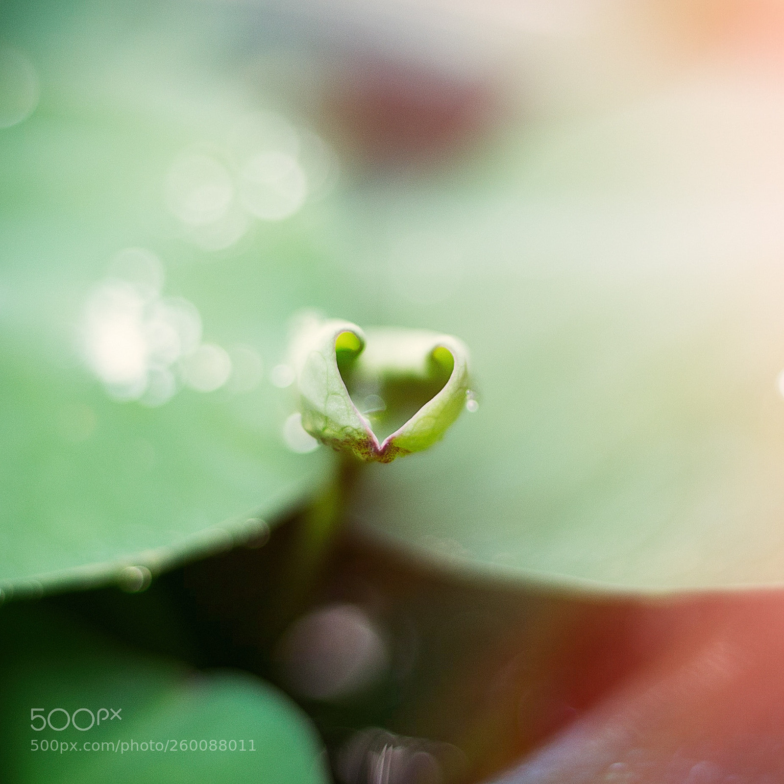 Canon EOS 6D sample photo. Untitled photography