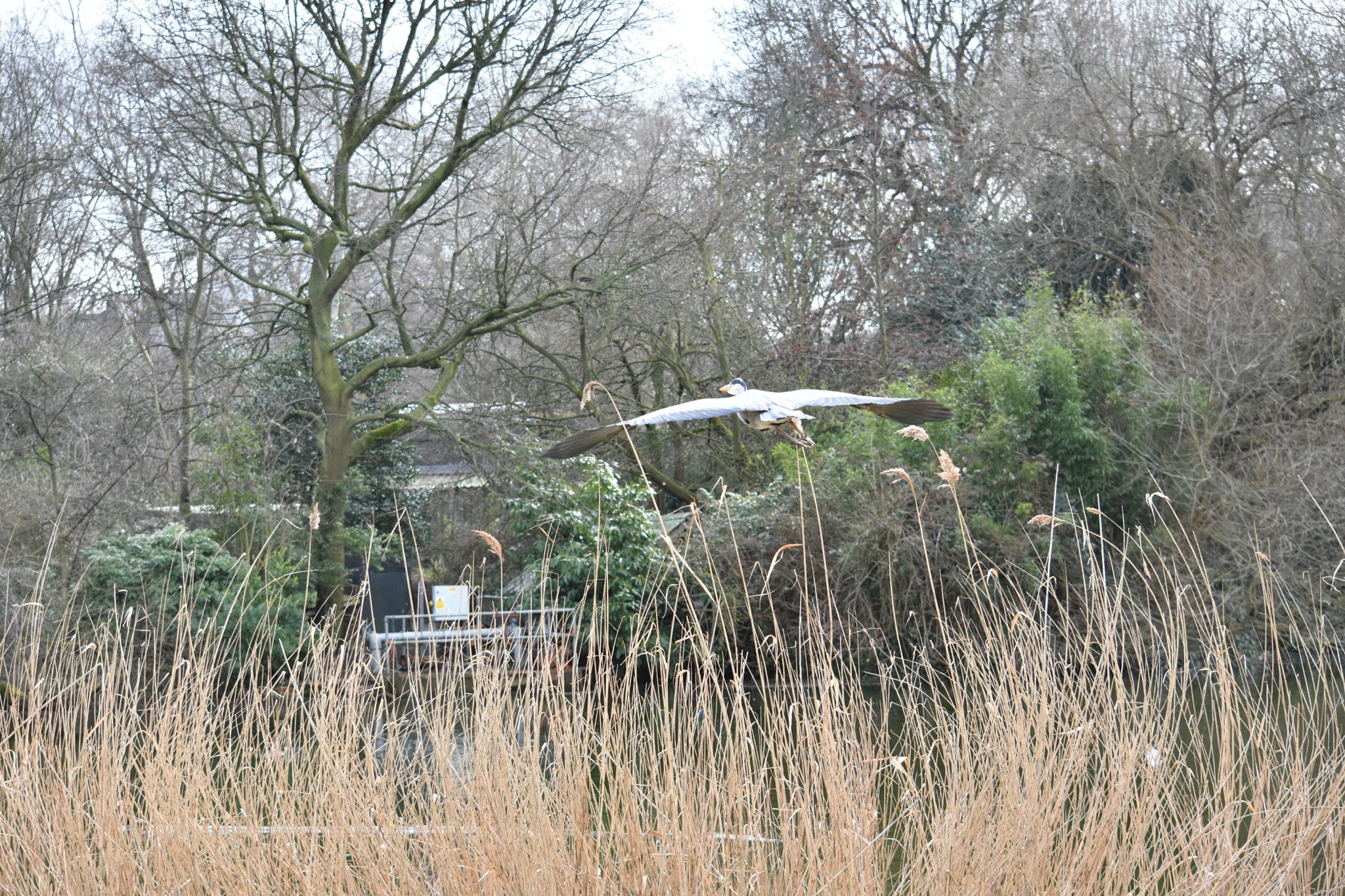 Nikon D7200 sample photo. Dsc photography